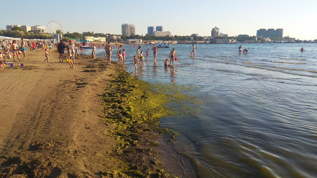 Что сейчас в анапе происходит на море. Анапа в июне.