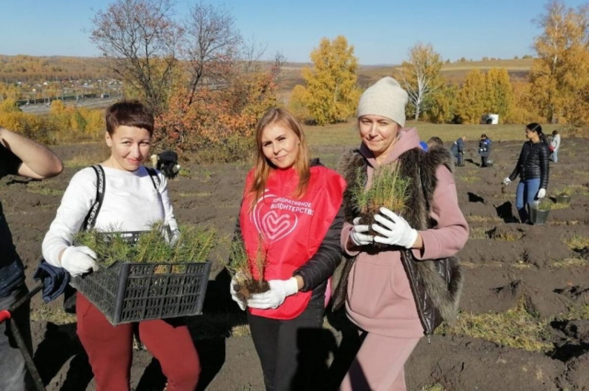    Кузбасские железнодорожники высадили более 6000 деревьев с начала года