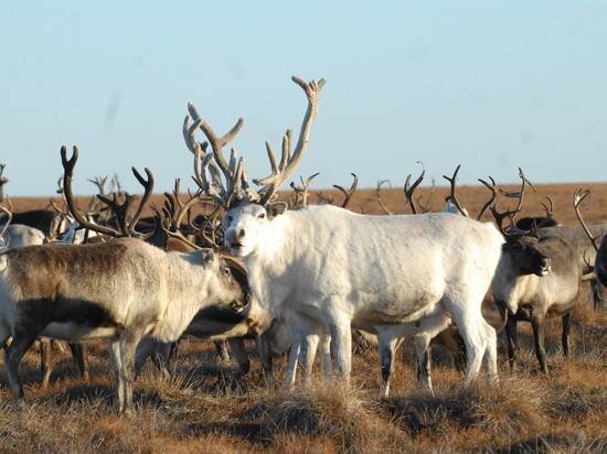   Александр Астафьев