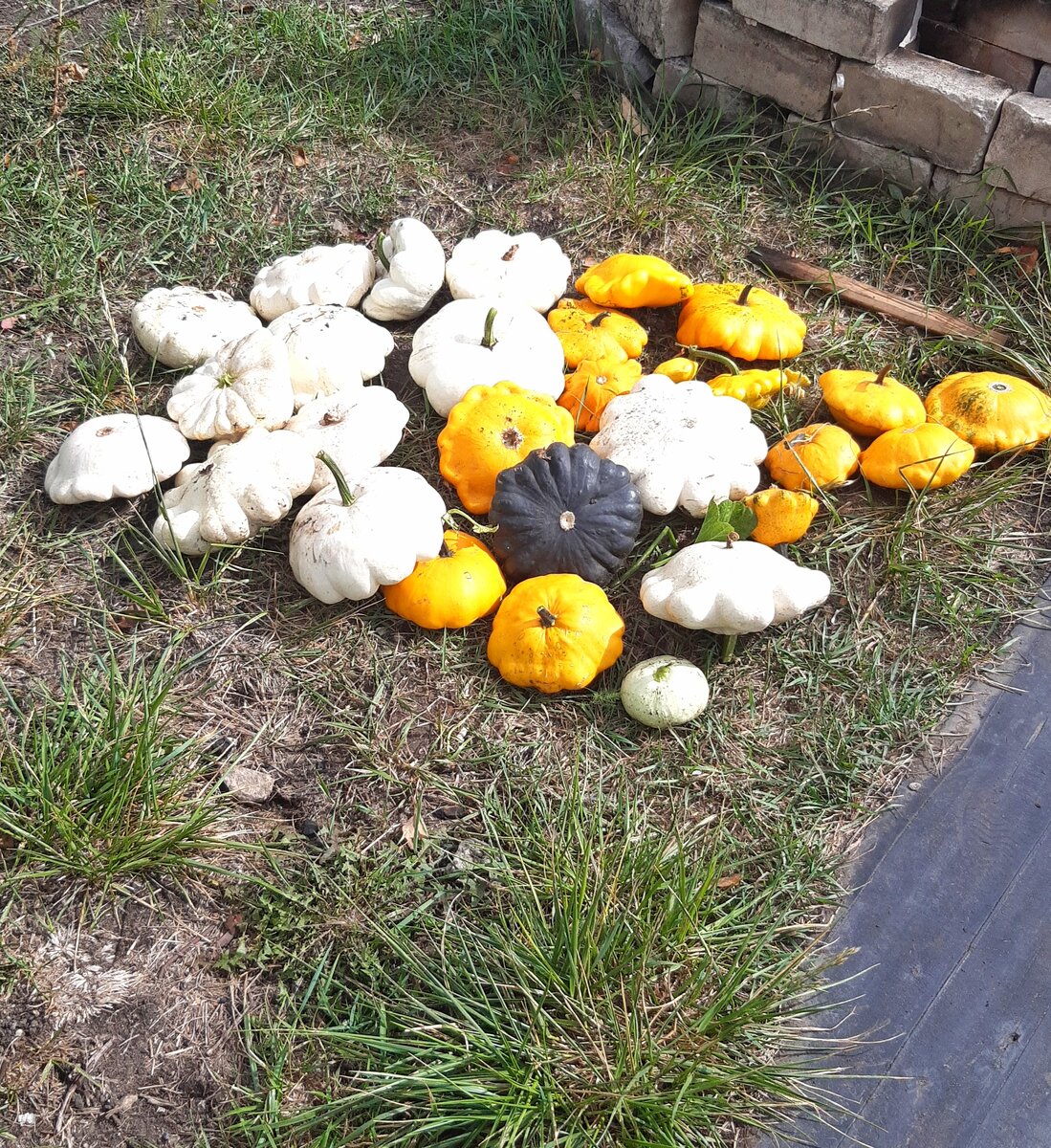 Копеечки😆 Крохотульки😆