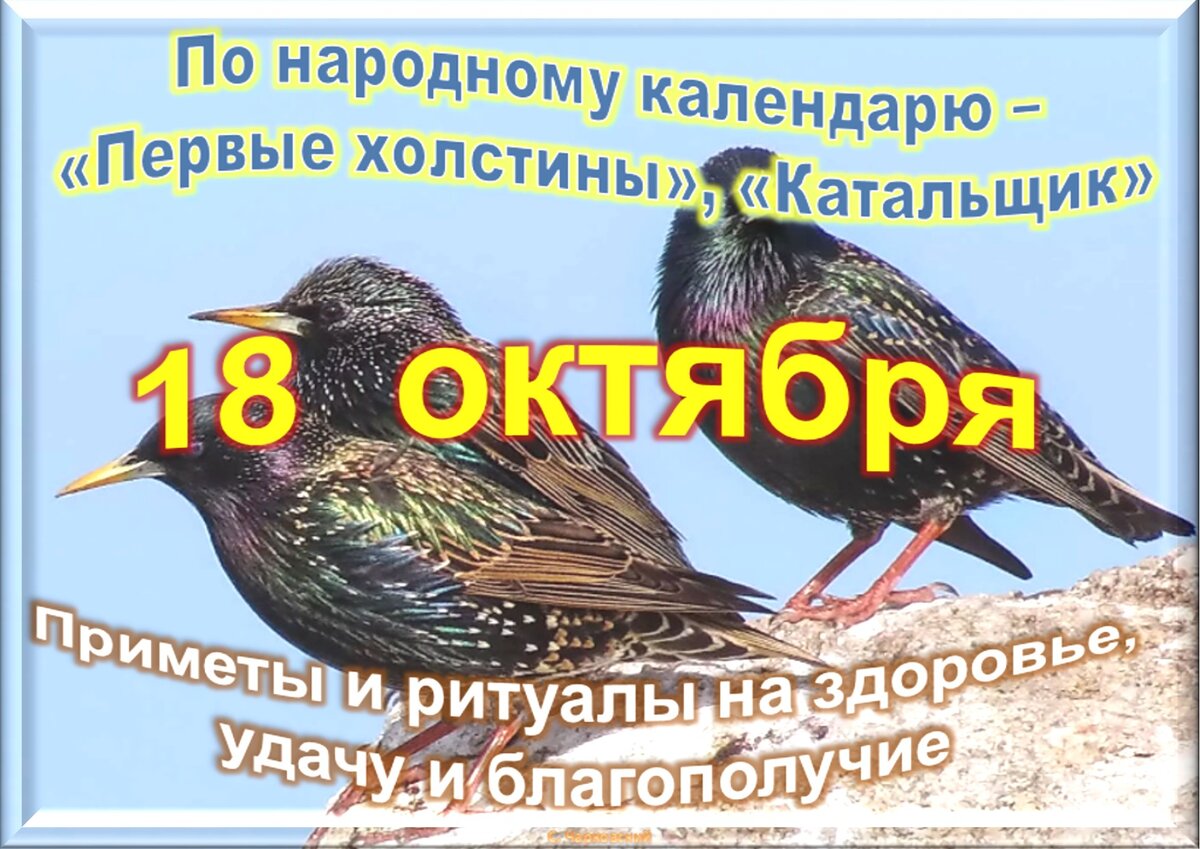 18 октября - Традиции, приметы, обычаи и ритуалы дня. Все праздники дня во  всех календарях | Сергей Чарковский Все праздники | Дзен