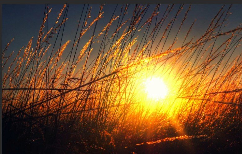 Источник фото kartinkin.net