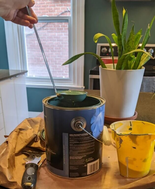 Фото: Edithosaure / Reddit📷
