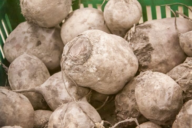 Фото: © Белновости