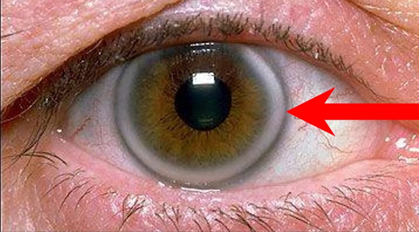 Как внешний вид влияет на биологический возраст и на длину жизни?