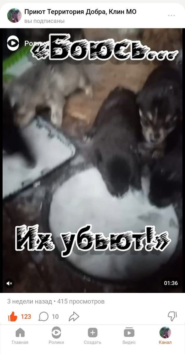 Пост от 21 октября