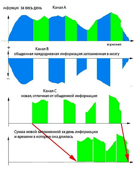 Для примера рассмотрим графики информации (см. Рис.2) одного дня пассивного пенсионера: синим цветом обозначим обыденную, ежедневную, ежегодную информацию повторяющуюся и запомненную до мелочей, зеленым цветом — новую, отличную от ежедневной суеты информацию. При обработке информации по алгоритму, изображенному на рис. 1, получается, что информация синего цвета уже есть в памяти и ее разность близка к нулю и время ее действия тоже не запоминается. Информация зеленого цвета — новая, отличная от ежедневной суеты информация и время ее действия запоминается.
К концу дня вспоминается только сумма запомненной информации и сумма времени ее действия, а остальное не запомненное, не воспринимается, это приводит к ощущению, что время бежит быстрее, на графике (Рис.2) день прошёл за 5 часов, вместо 12.
Аналогичный эффект наблюдается при длительном нахождении в пещерах,
«Из отчета М. Сифра** видно, что в условиях одиночества и отсутствия связи с внешним миром у него вскоре «распалась связь времени…». Из отчета М. Сифра видно, что в условиях одиночества и отсутствия связи с внешним миром у него вскоре «распалась связь времени...». Через 1000 ч (более 40 суток), ему казалось, что прошло всего лишь 25 суток.
Вывод субъективное восприятие промежутка времени человеком определяется суммой времен действия новой информации в этот промежуток.

* Рис. 1 из статьи Рис.1 из статьи https://medium.com/@richardepworth/what-do-we-really-know-about-our-human-interface-2fa808c130a0
** https://psy.wikireading.ru/hhxuyBW5Ud
