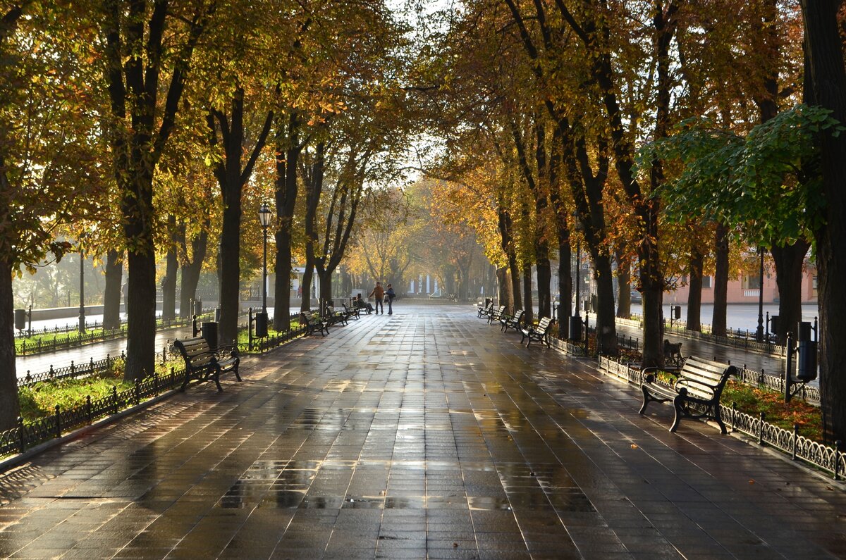 бульвар в москве