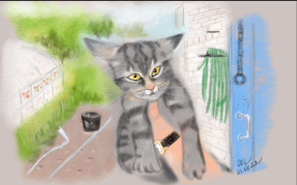 Рисунки котенка карандашом для детей (26 фото)