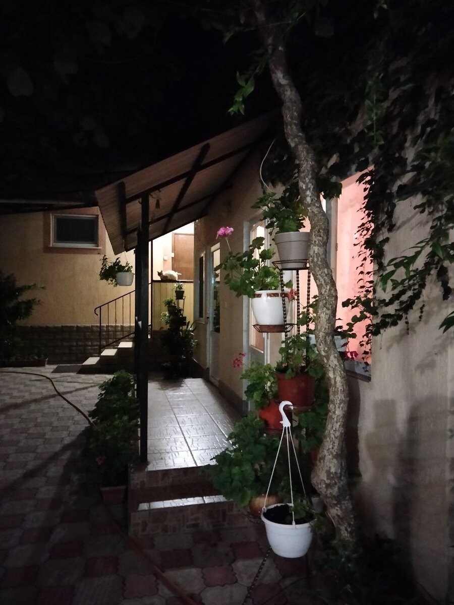 Сотни цветов во дворе, чистота