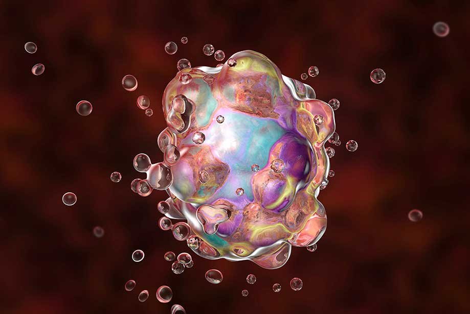 Рис.: enzolifesciences.com