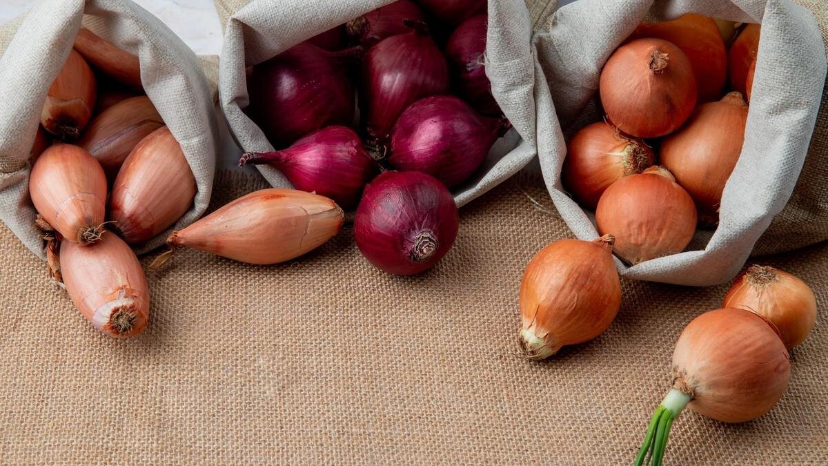    Желтый и красный лук сложен в открытые тканевые мешки:Freepik