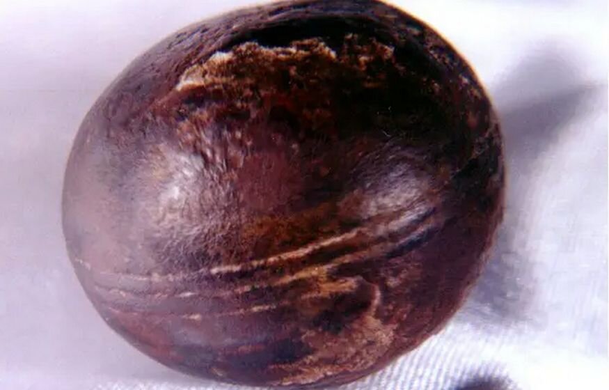    Сферы из Клерксдорпа: странные сферы возрастом 3 миллиарда лет