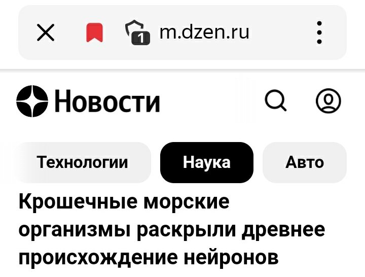 Публикация от 24.9.2023г.