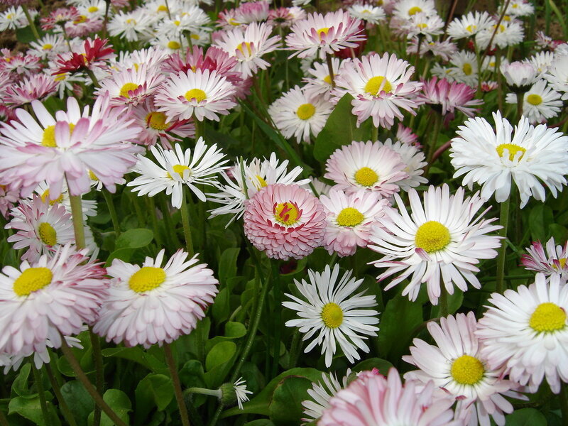 Фото из свободных источников