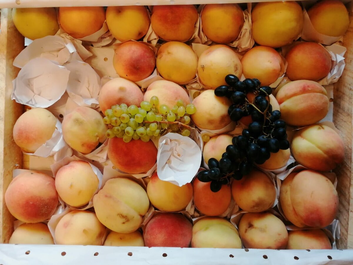 персик Чемпион 400 р за ящик