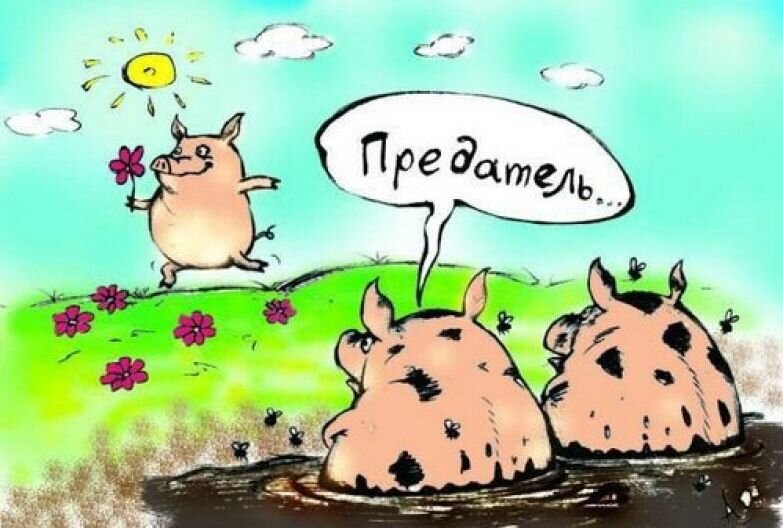 Где родился, там и пригодился?