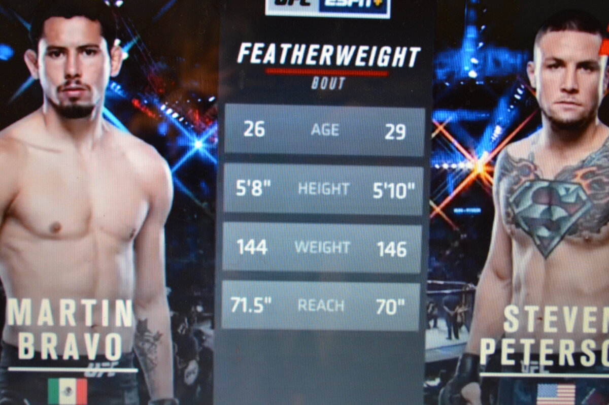 Статистические данные бойцов.