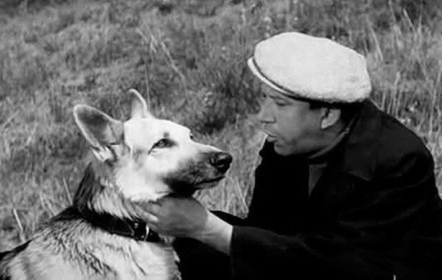 Кадры из фильма "Ко мне, Мухтар"