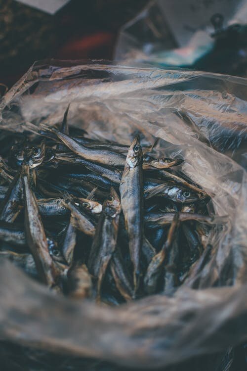 https://www.pexels.com/photo/mackerel-fish-in-plastic-bag-2980246/