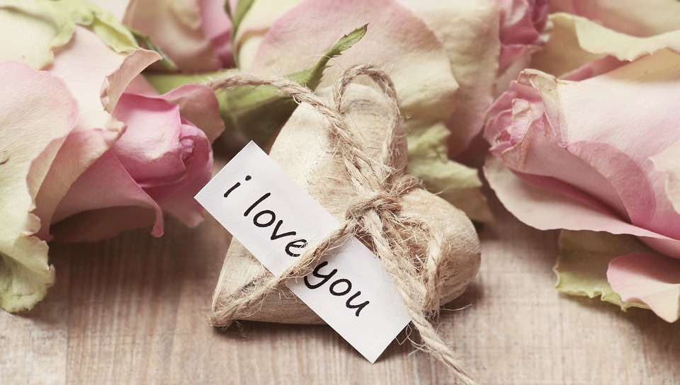 https://pixabay.com/ru/photos/%D1%80%D0%BE%D0%B7%D1%8B-%D1%81%D0%B5%D1%80%D0%B4%D1%86%D0%B5-%D0%B4%D0%B5%D0%BD%D1%8C-%D0%BC%D0%B0%D1%82%D0%B5%D1%80%D0%B8-%D1%86%D0%B2%D0%B5%D1%82%D1%8B-2840743/