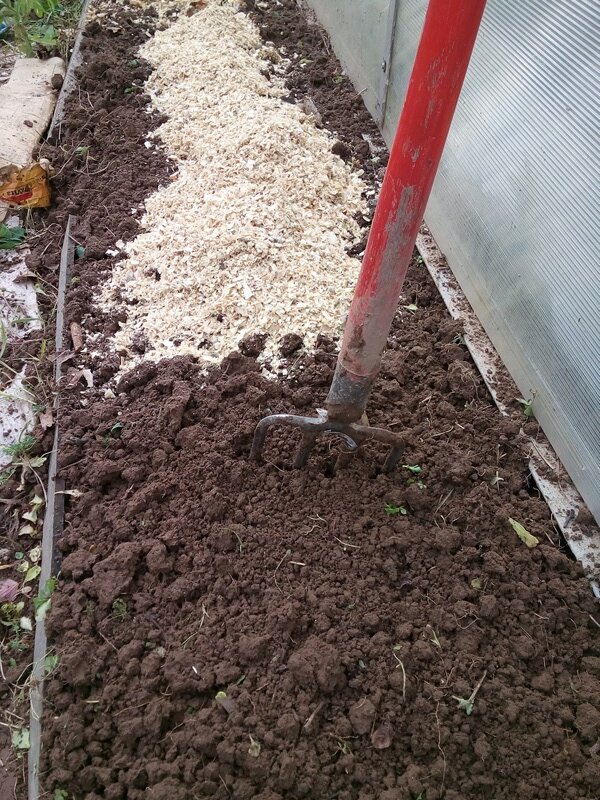 Опилки для грунта. Опилки на грядки. Опилки для огорода. Добавляем опилки в землю. Мульчирование грядок опилка.