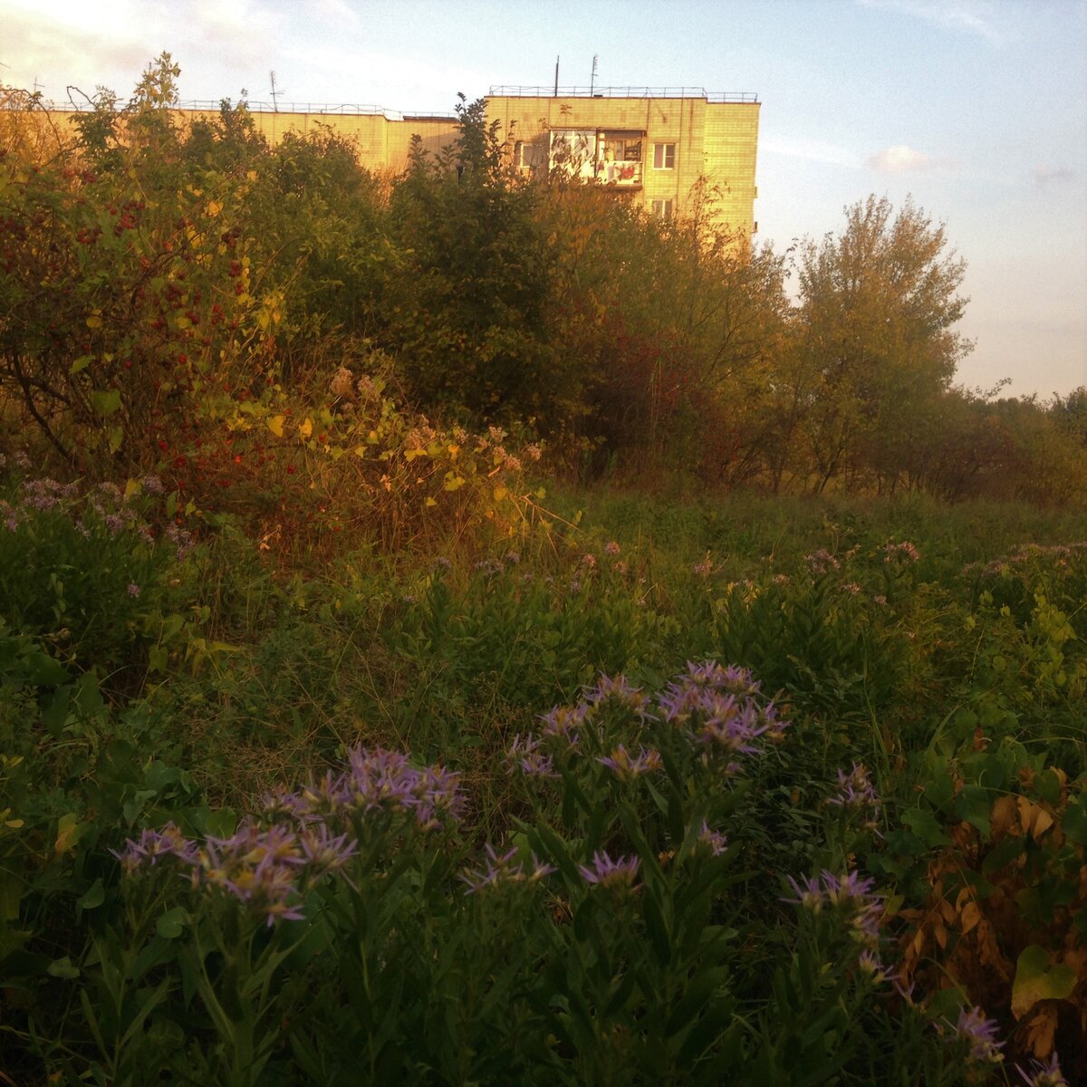 Это мой дом