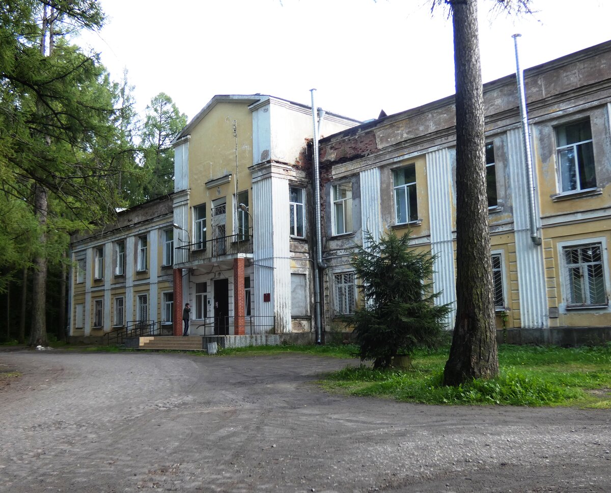 подъездная аллея. погода дружноселье гатчинского. дружноселье. усадьба кн витгенштейна. дружноселье гатчинский район.