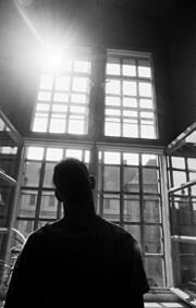 День двухсотый...