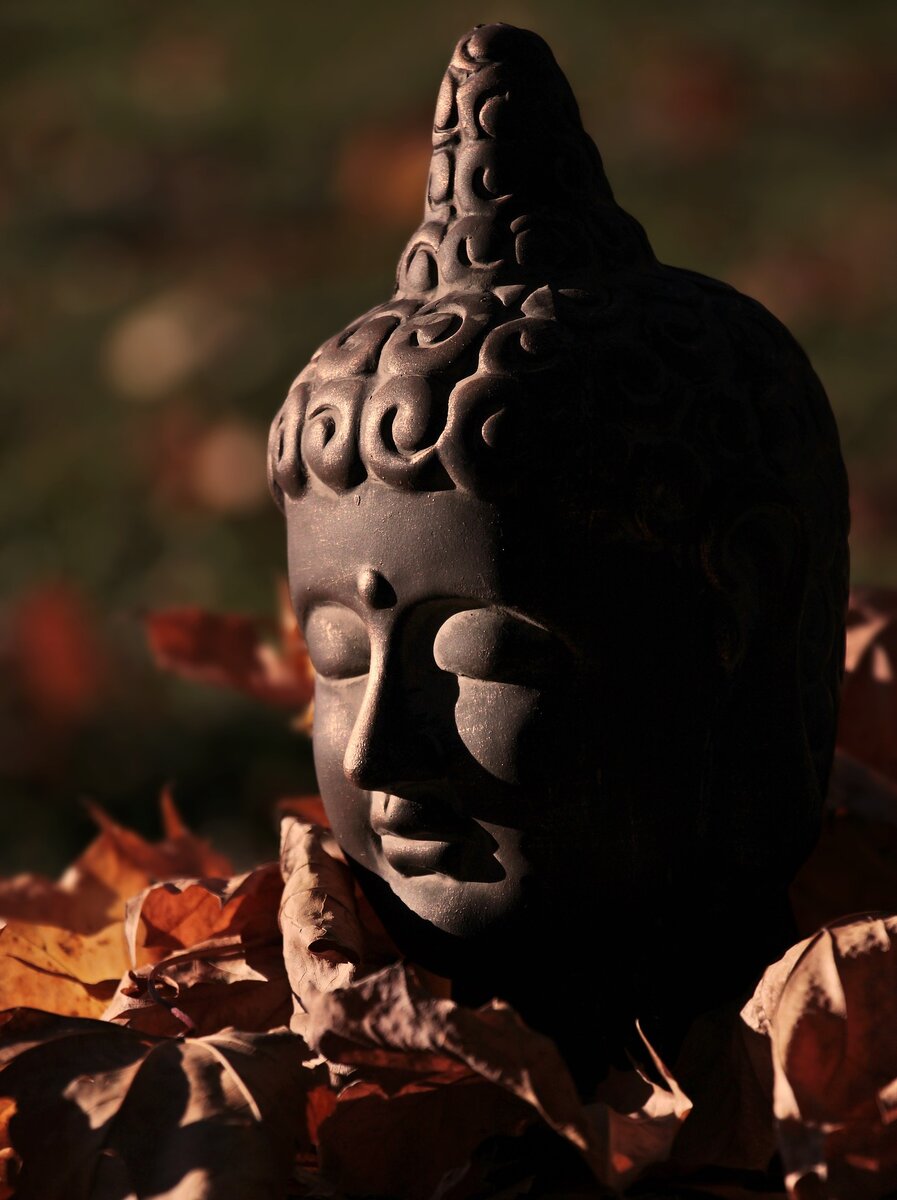https://pixabay.com/images/id-3777416/
