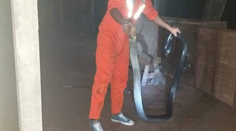 Фотка сделана (с) Sanook