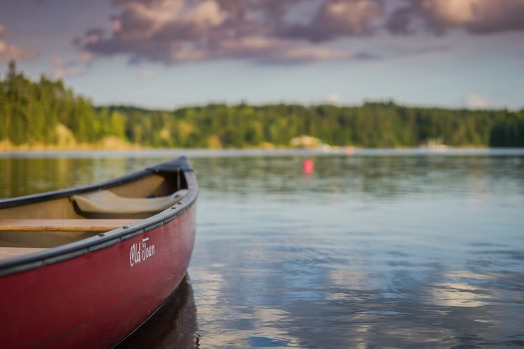 https://images.unsplash.com/photo-1468221296755-1c53a9dbcd54?ixlib=rb-1.2.1&ixid=eyJhcHBfaWQiOjEyMDd9&auto=format&fit=crop&w=750&q=80