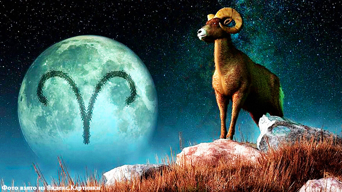 Знак Зодиака, Овен, гороскоп, гороскоп на завтра, любовь, отношения, финансы, работа 