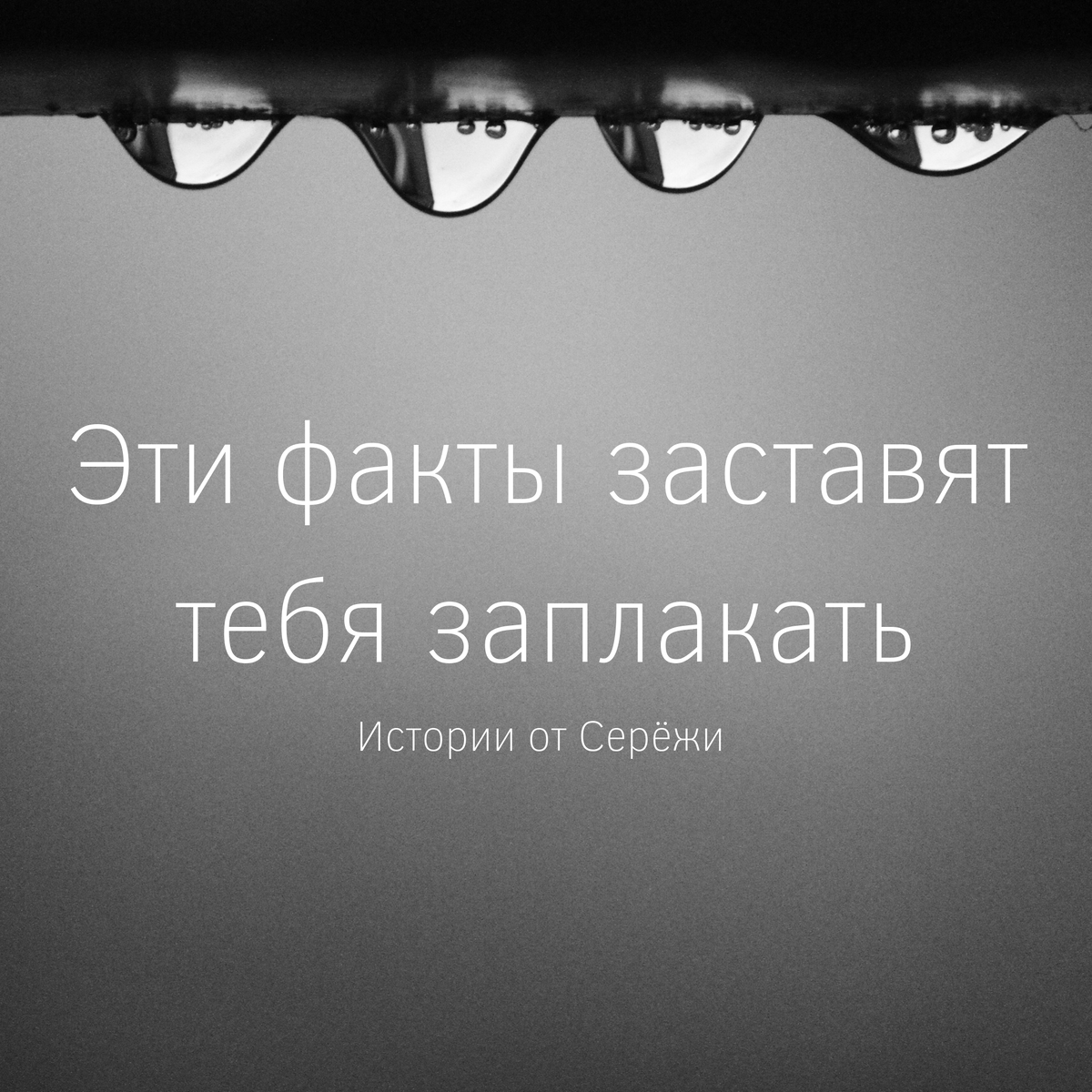 Тронул ли хоть один из этих фактов вас? Пишите в комментарии