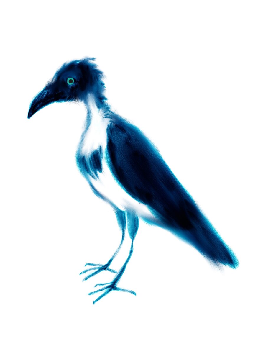 Портрет вороны Сони в младенчестве