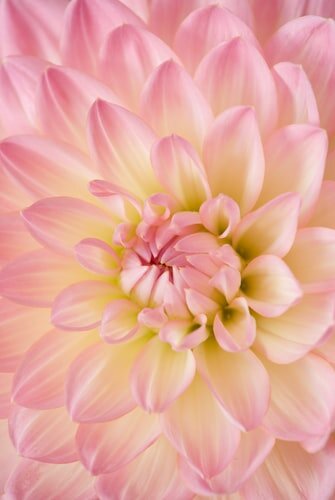 https://unsplash.com/photos/f0heeiu-Ec0