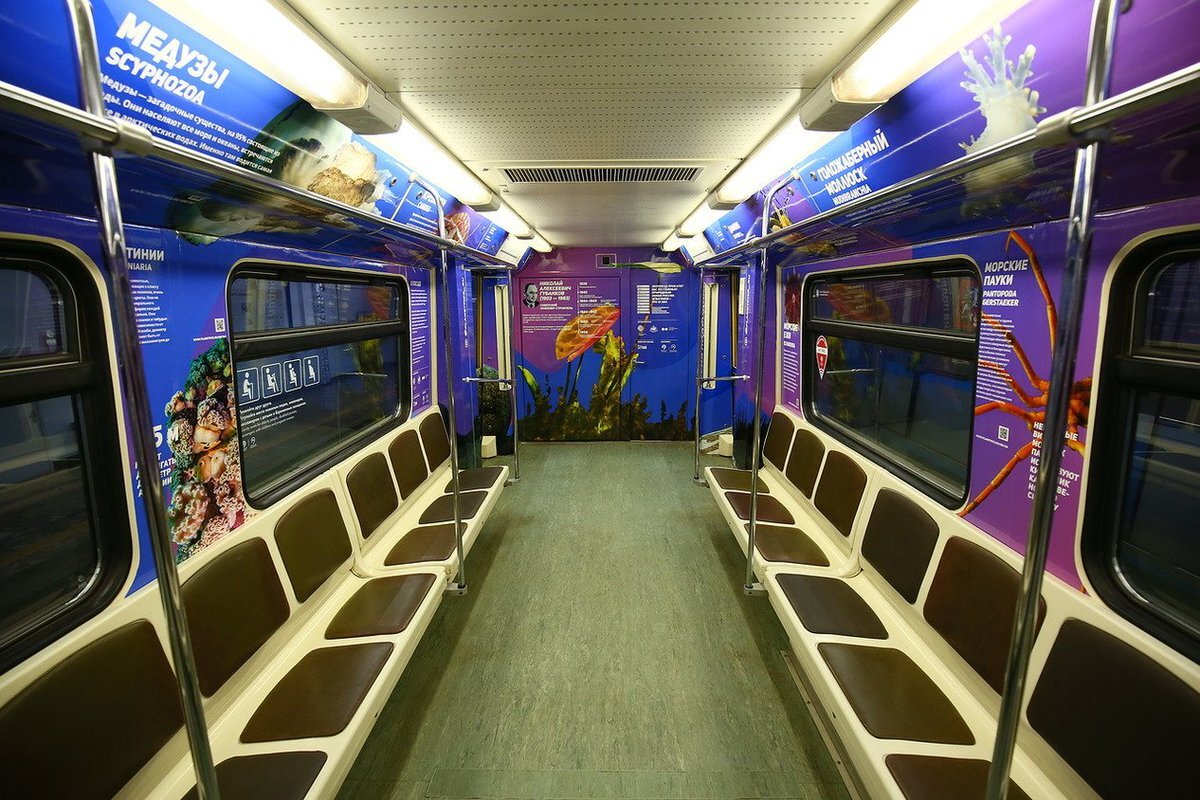 скачено из Яндекс