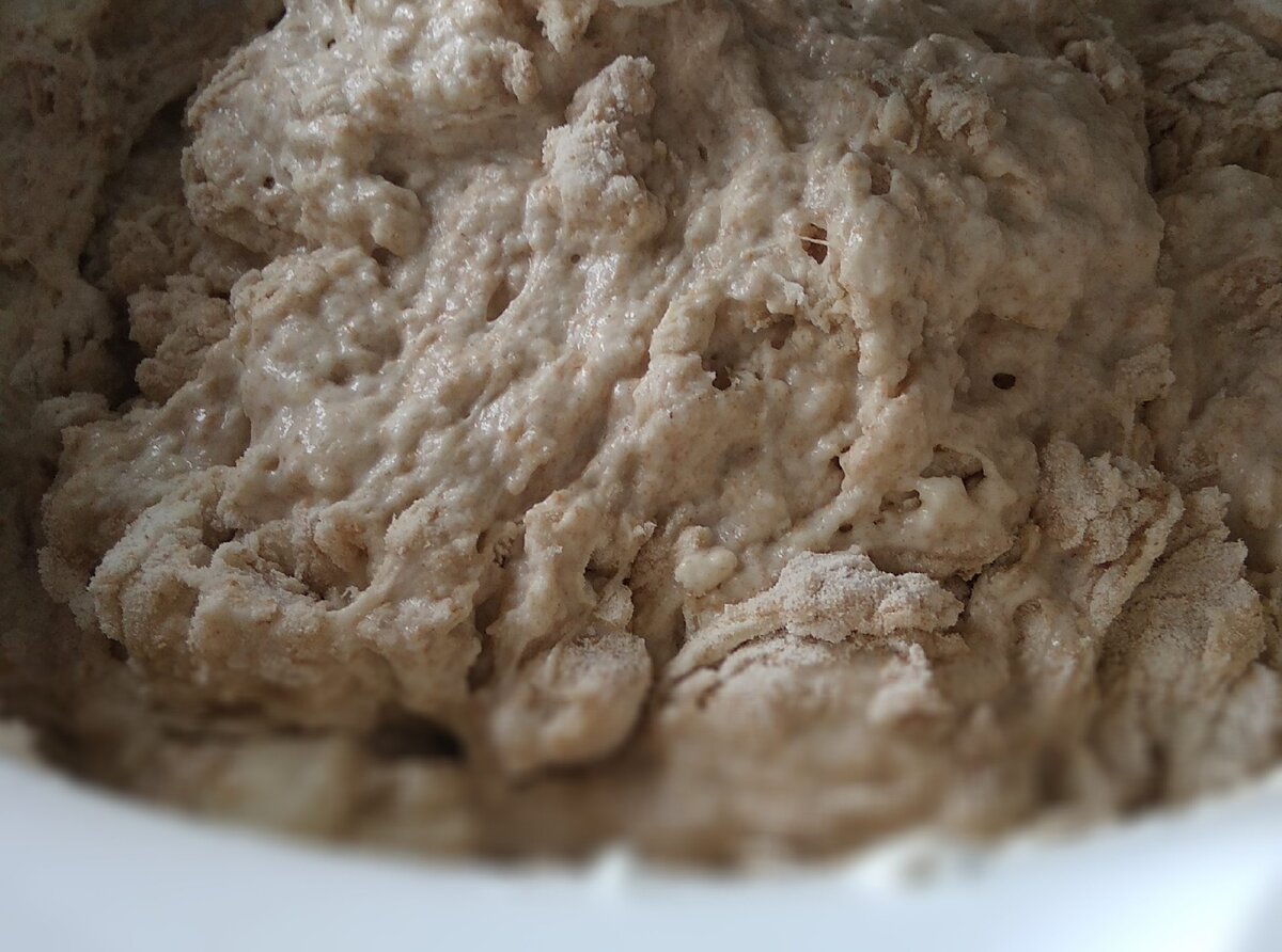 Так выглядит тесто перед аутолизом. Фото — Яндекс.Картинки