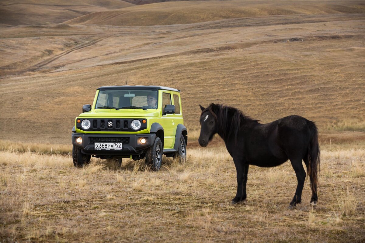 Тест-драйв Suzuki Jimny: Wrangler за «полторашку» | Somanyhorses | Дзен