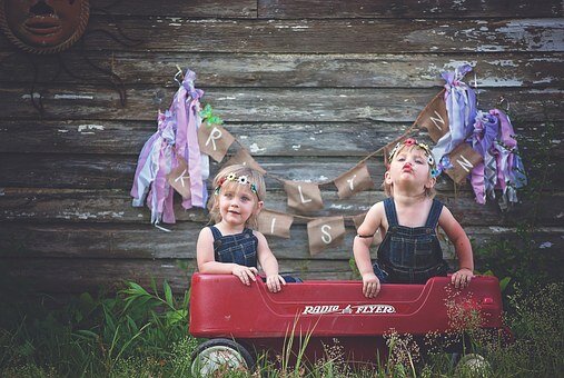 https://pixabay.com/photos/twins-girls-wagon-family-two-cute-757404/