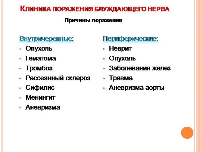 Блуждающий нерв или зри в корень. Ущемление блуждающего нерва.