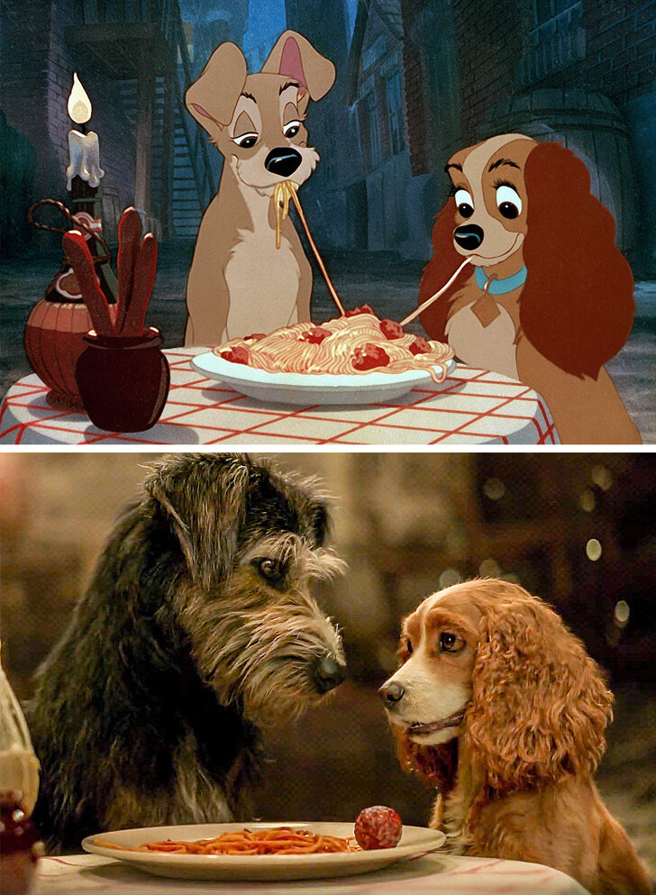 © Lady and the Tramp / Walt Disney Studios   © Walt Disney Studios / youtube 