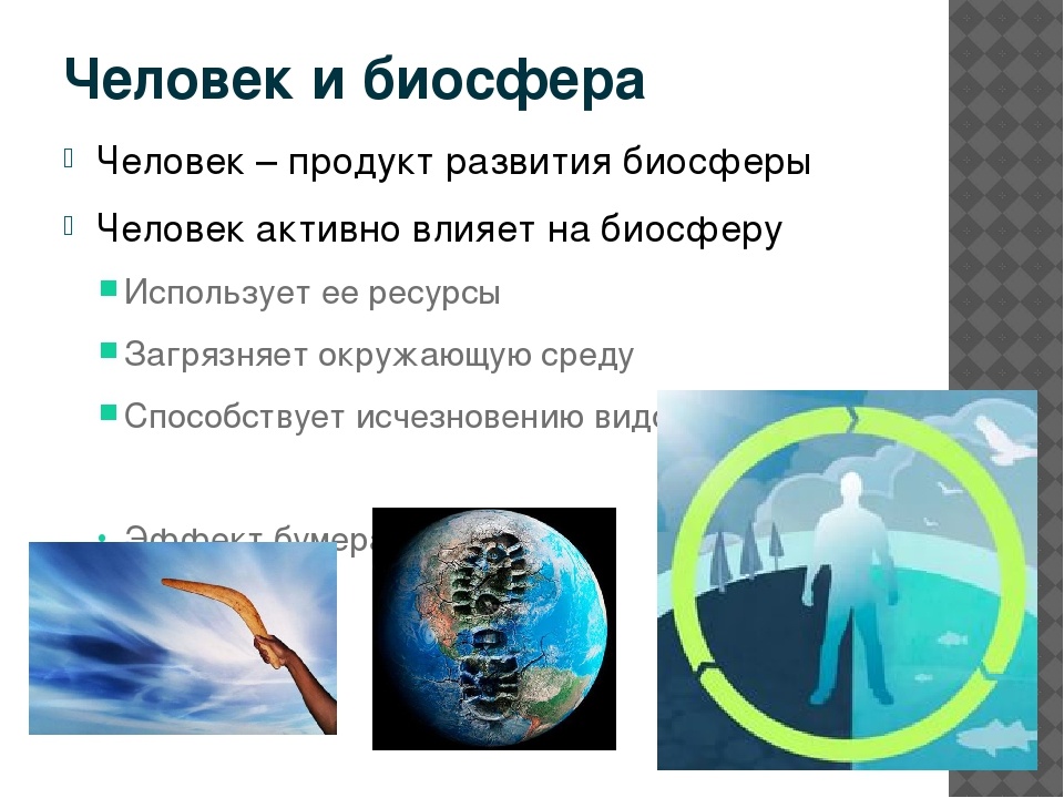 https://ds04.infourok.ru/uploads/ex/02e3/0007425a-32e47cfb/img5.jpg