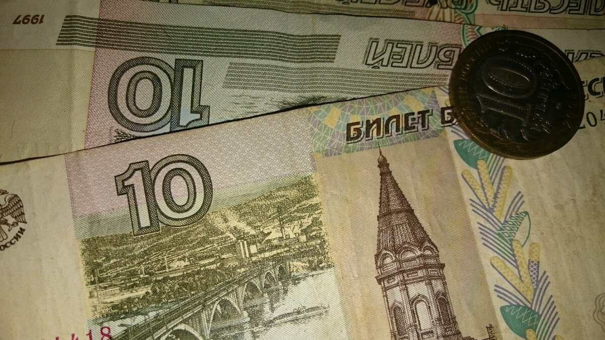 мои любимые, красивые, живые таракашки. Прибавляются и размножаются.