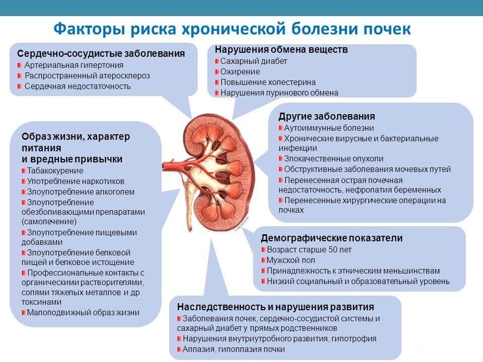 Белок в моче