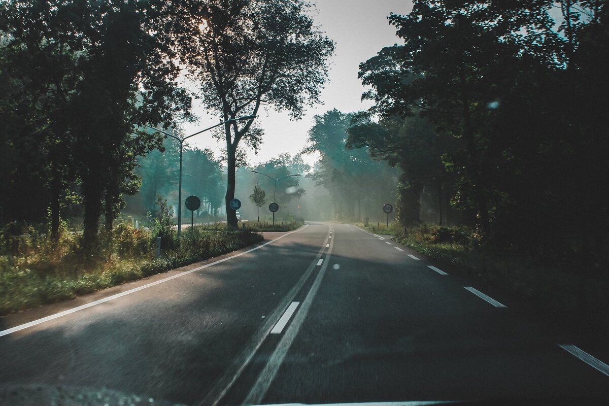 https://www.pexels.com/ru-ru/photo/1813227/