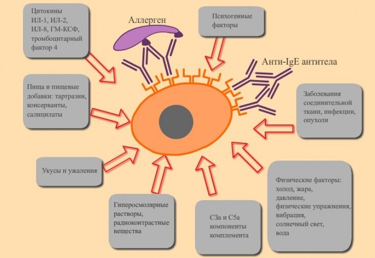 Отек Квинке (ангионевротический отек): симптомы у взрослых, первая помощь, лечение