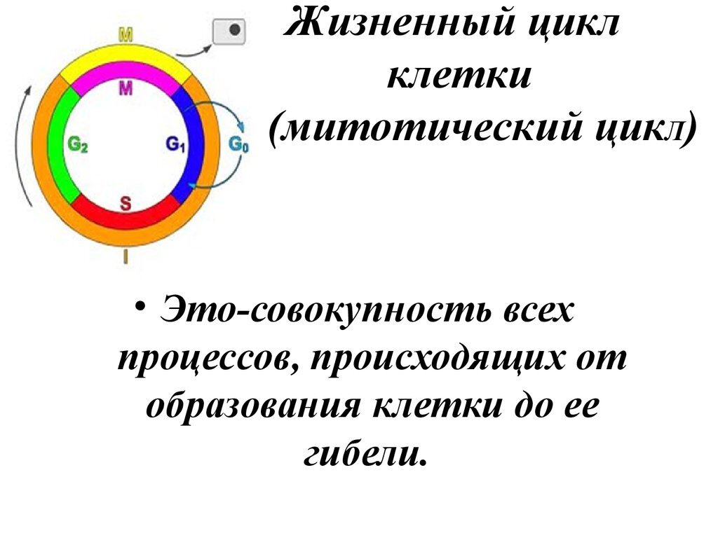 https://cf.ppt-online.org/files/slide/p/PvxRpBb2HGWEiZ5CYMnStAsFwqdhk9IeUXVj7m/slide-2.jpg