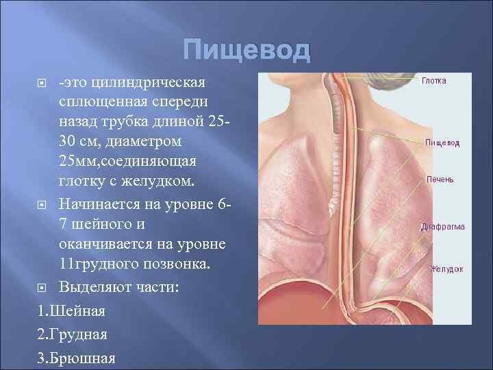 Фото взято из яндекс картинок