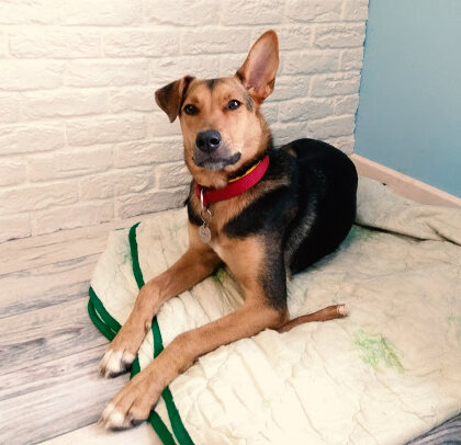 Тайга на своем месте